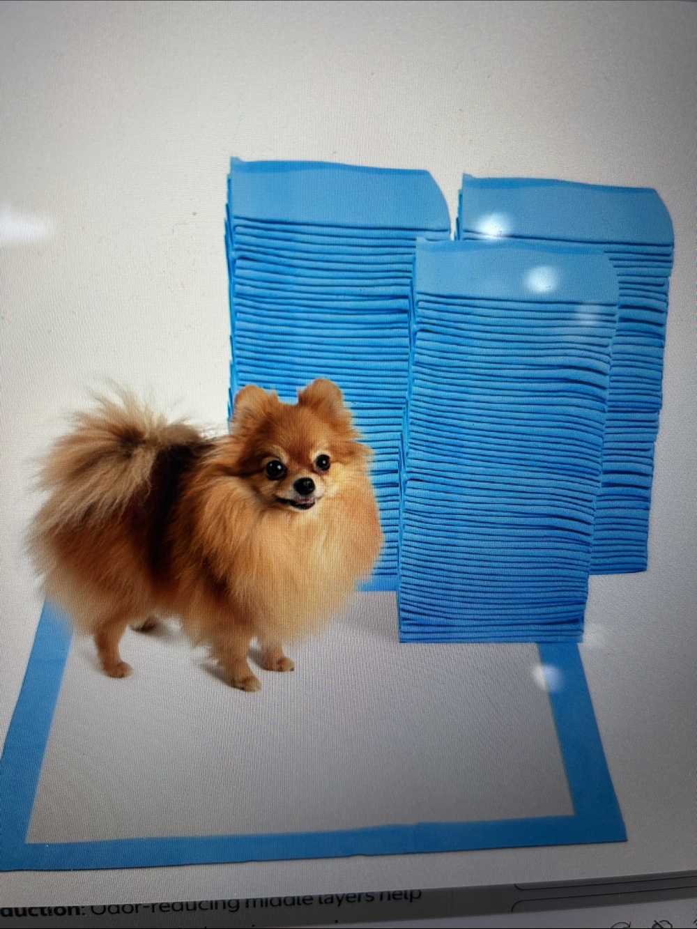 Leak Proof PetTraining Pads- 35 total